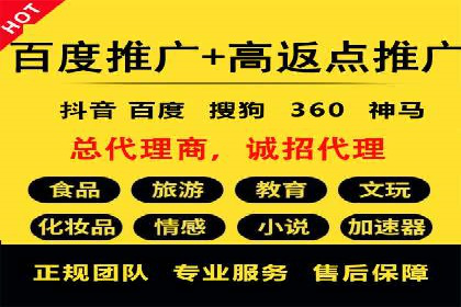 某知名企业SEM营销全案解析